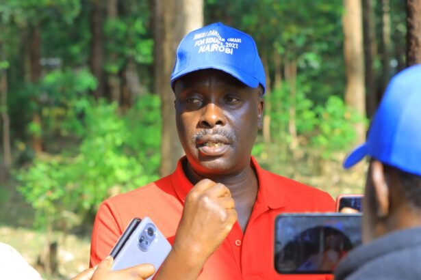 Lawyer Danstan Omari